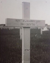 Roy N. Harrison